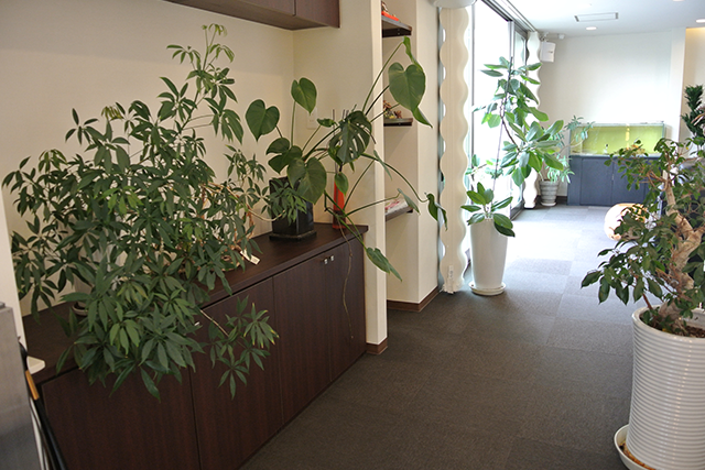 奈良県の庭工事・ガーデンリフォームなら庭工房